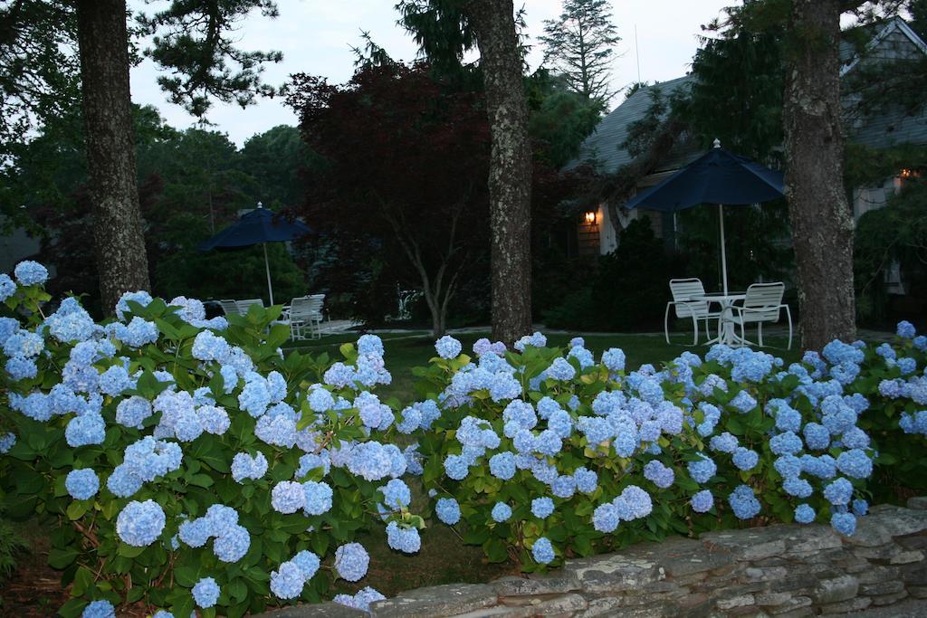 Pleasant Bay Village Resort Chatham Dış mekan fotoğraf